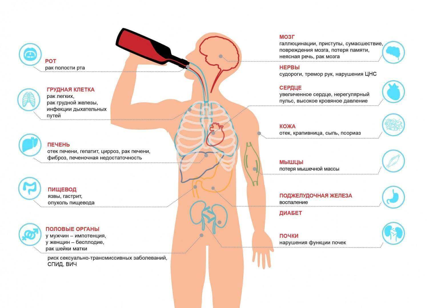 Поражение желез. Влияние алкоголя на организм человека схема. Влияние алкоголя на органы. Воздействие алкоголя на организм. Алкоголизм влияние на органы.
